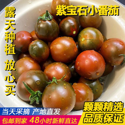 【自然熟】新鲜紫春桃巧克力西红柿黑番茄黑春桃儿童孕妇生吃水果