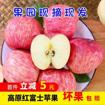 【爆甜】精品红富士苹果当季新鲜冰糖心脆甜丑苹果水果批发一整箱