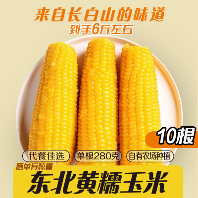 【长白山众品源】黄糯玉米十支自有农场0添加非即食非转甜糯玉米