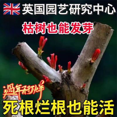 【英国科研】懒人氮磷钾盆栽花卉肥料通用家庭园艺缓释片营养液