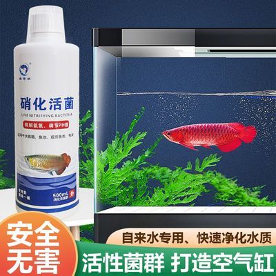 硝化菌降解氨氮硝酸活菌硝化细菌鱼缸净水稳定剂水族用品养鱼必备