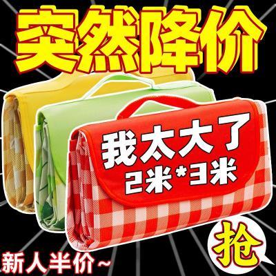 【新客半价】野餐垫春游户外便携防水加厚地垫草坪布露营防潮垫子