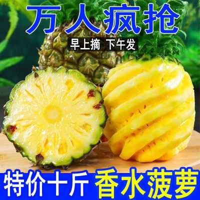 新鲜现摘香水菠萝凤梨大果菠萝蜜香脆甜爽手撕菠萝凤梨云南菠萝