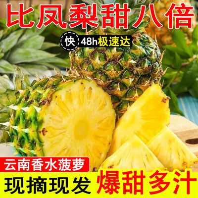 【疯抢】新鲜香水菠萝凤梨应季水果大个新鲜糖心批发整箱新鲜凤梨