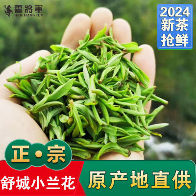 霍将军舒城小兰花2024新茶叶安徽晓天手工绿茶叶250克500克罐装茶