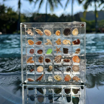 亚克力贝壳收纳盒迷你饰品海螺微贝标本钻石收集高透明盒子可定作
