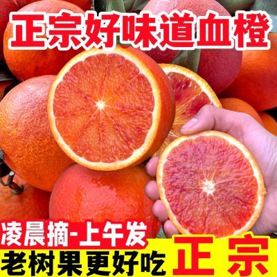 当季橙子新鲜正宗血橙塔罗科玫瑰橙非红橙10斤冰糖果冻橙水果批发
