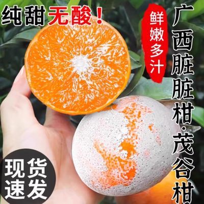 产地直发广西新鲜茂谷柑石灰柑网红脏脏柑水果特大果2/5/10斤柑橘