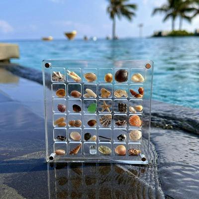 贝壳收纳盒亚克力正方形透明海边微型石头标本展示迷你贝壳收纳框