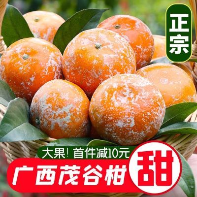 广西新鲜柑橘网红水果茂谷柑石灰柑脏脏柑特大果整箱9斤现摘现发