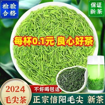 2024新茶信阳手工毛尖绿茶500g明前高山嫩芽茶叶浓香型1斤批发价