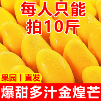 【又甜又大】海南金煌芒果10斤新鲜水果当季大水仙芒热带芒果甜心