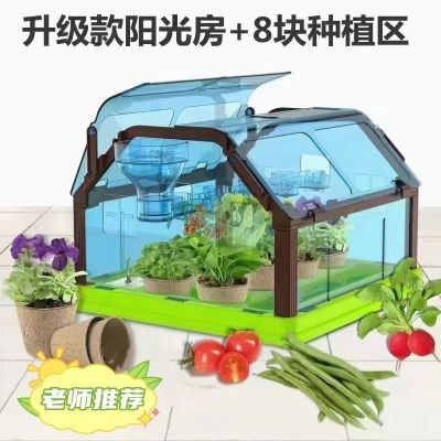 种植观察阳光房 DIY互动学习植物知识培养宝宝对植物的生长过程