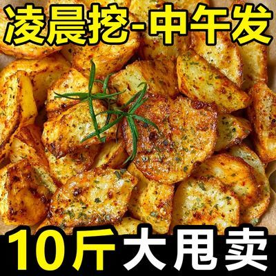 【今年新货】黄皮土豆批发10斤正宗新鲜洋芋1/5斤马铃薯应季蔬菜
