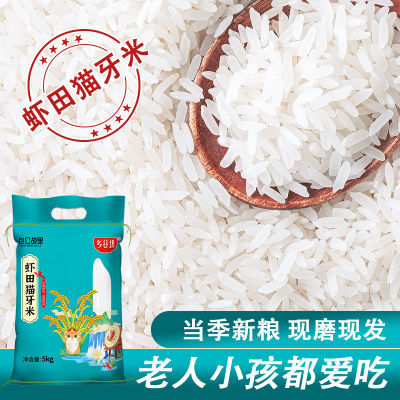 乡谷坊虾田猫牙米5kg长粒香新米煲仔饭长粒米50斤丝苗米