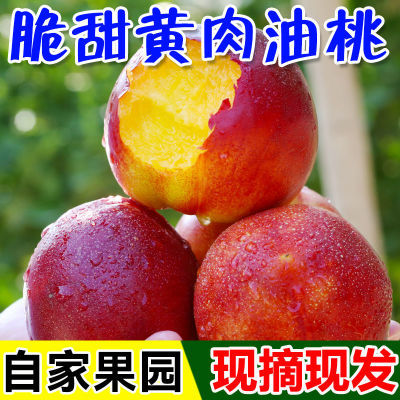现摘】黄心油桃5斤应季大桃子新鲜水果当季水密桃整箱孕妇蜜脆桃3