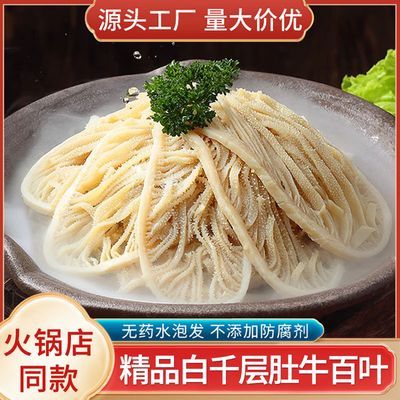 白千层肚毛肚批发新鲜火锅食材整箱牛百叶涮火锅冷冻牛肚