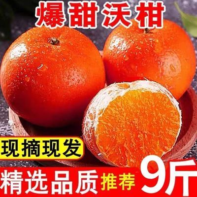 【甜爆了】四川沃柑纯甜贵妃柑当季新鲜水果薄皮橘子整箱应季水果