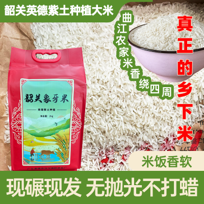 韶关象牙农家米便宜新米优选现磨现发清香袋装纯天然原生态优质