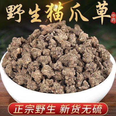 云南猫爪草大个猫爪草新鲜无硫新货猫爪草50g/500g猫爪草多规格