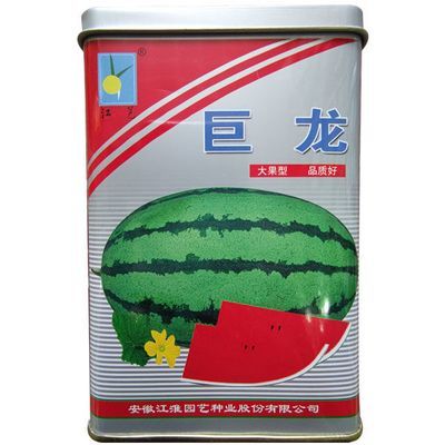 罐装巨龙西瓜种子特大高产甜早熟四季播种少籽农科院西瓜水果种籽