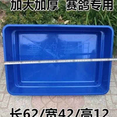 鸽子用品用具洗澡盆赛鸽洗澡盆鸽子大号洗澡盆鸽子澡盆信鸽洗澡盆