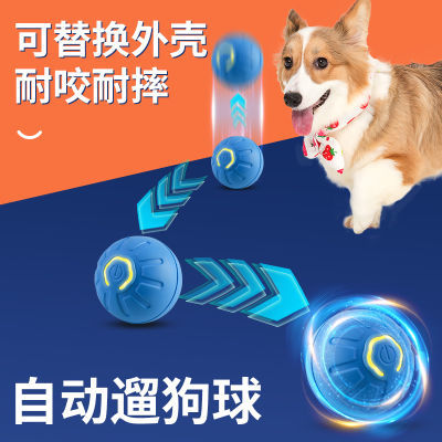 狗狗玩具智能新款器陪伴遛狗神器神器智能遛狗球电动专用充电静音