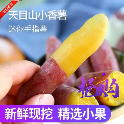 【精品】临安天目小香薯手指红薯黄心番薯粉糯甜新鲜现挖板栗地瓜
