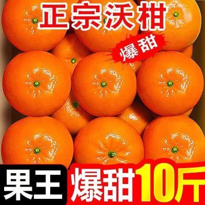 【精品】现摘爆甜沃柑新鲜水果超甜薄皮桔子非丑橘耙耙柑批发包邮