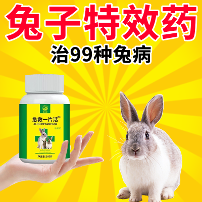 兔子养殖专用急救药必备兔子预防感冒发烧腹胀拉稀常备药正品宠物