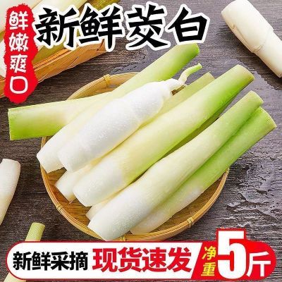 新鲜茭白特价冬笋时令蔬菜茭白现挖竹笋油焖笋高瓜水笋高笋春笋