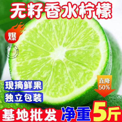 【马上发货】新鲜海南香水柠檬无籽小个青柠檬鲜果水果奶茶店专用