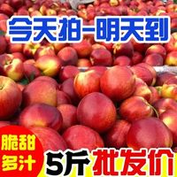 【精品】黄肉油桃新鲜桃子水果应季水果孕妇水果5斤3/1斤整箱
