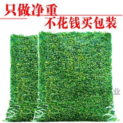 明前特级浓香型绿茶2024新茶高档茶叶一级板栗香炒青绿茶散装500g