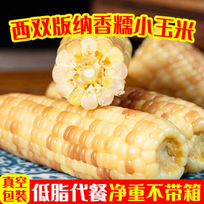 云南西双版纳玉米新鲜甜香糯真空包装即食花糯玉米棒代餐粘黏玉米