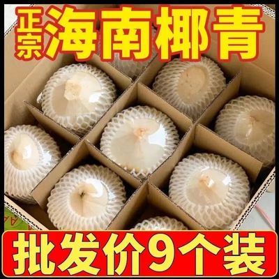 【精选】海南椰青水果孕妇单果900-1300克文昌热带特产一整箱直发
