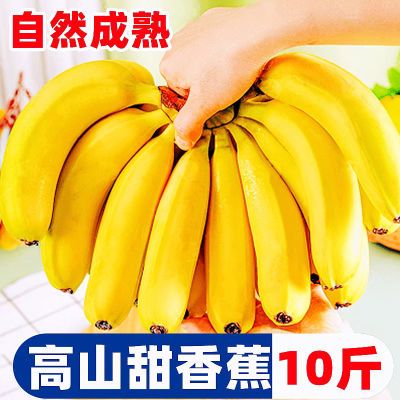 【自然熟】云南高山大香蕉新鲜应季水果超甜整箱批发价当季现摘