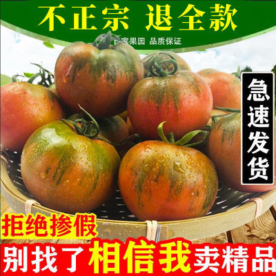 【6斤特价】丹东草莓柿子西红柿新鲜铁皮柿子盘锦碱地生吃番茄