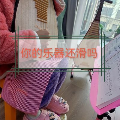 加厚琵琶防滑垫柳琴防滑帖腿垫整张舒适中阮古琴吉他二胡垫子专用