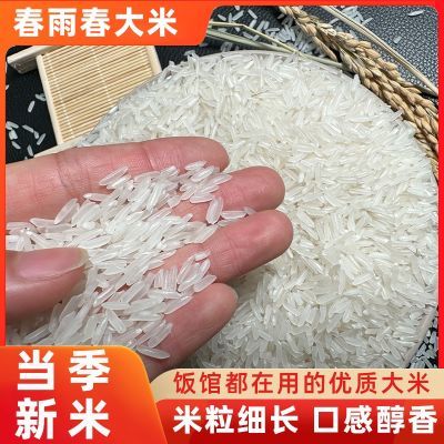 新大米长粒香大米猫牙米丝苗米煲仔饭专用长粒香米一级真空包装