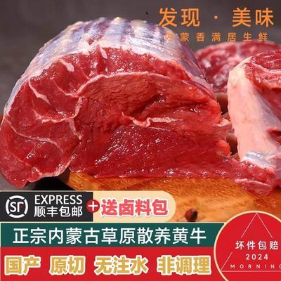 内蒙新鲜原切无注水牛腱子肉国产黄牛腱零添加草原散养小黄牛腱子