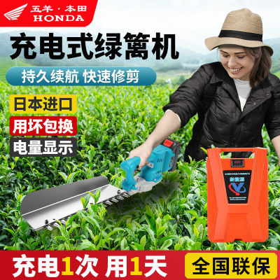 电动绿篱机充电式锂电单手修枝剪园林绿化神器球型茶叶茶树修剪机