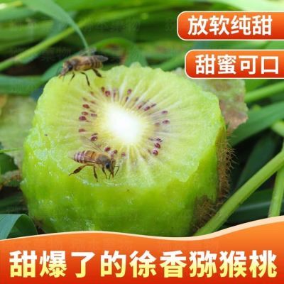 【即食】徐香绿心猕猴桃80-100克大果当季水果奇异果整箱包邮