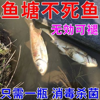 鱼塘杀毒菌除臭池塘变清养鱼专用净水剂水变清水质净化鱼塘净水剂