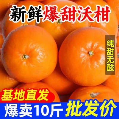 正宗超甜广西沃柑橘子当季水果新鲜薄皮桔子现货批发价产地直发