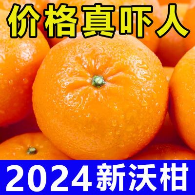 【刚刚降价】正宗广西武鸣沃柑桔橘子超甜应季新鲜水果非丑橘10