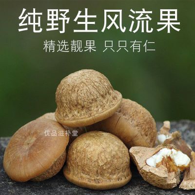 广西特产野生风流干果产地直发精选肾子泡酒料野生石头果正品