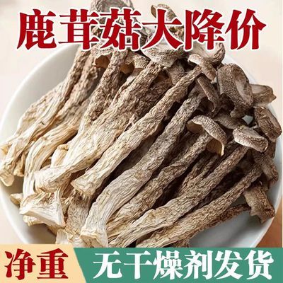 【无干燥剂发货】鹿茸菇新货批发农家特产鹿茸菌鹿耳菇净重发货