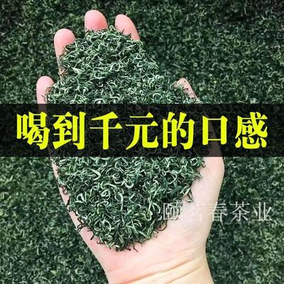 特级绿茶2024新茶贵州绿茶高档云雾茶特浓香型手工炒青茶散装