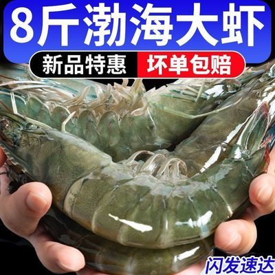 虾有虾途渤海大虾新鲜冷冻超大17-19厘米海虾4斤一整箱海鲜批发